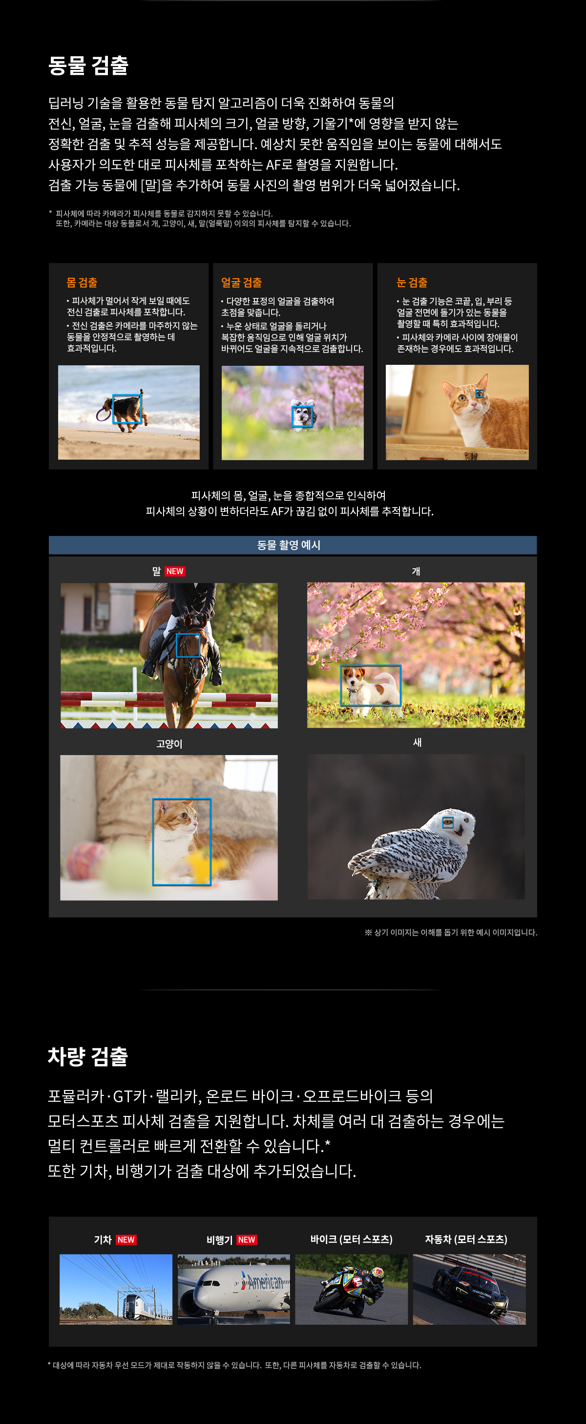 dc1fc2ddb0ab674dc8bc93a63bf0b81b_1784007251_2122.png